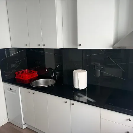 Masstige Ii Free Public Parking Brand New Elevator Apartment *